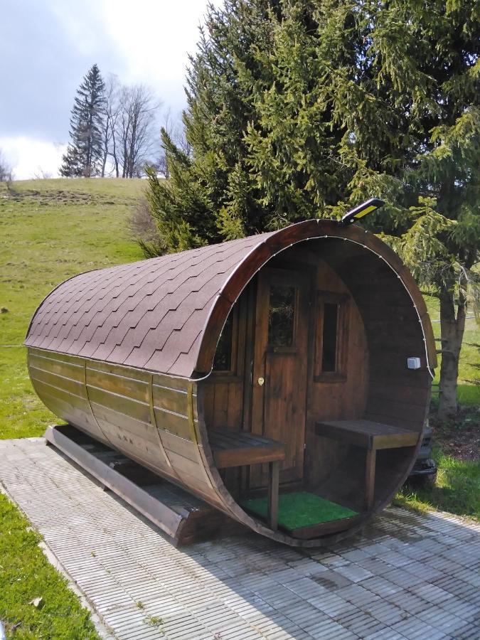 Penzion Iris Krkonose Horní Maršov Eksteriør billede